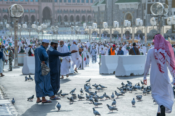 Source: KSA Ministry of Hajj and Umrah. People feeding pigeons in the foreground. Pilgrims in the background..