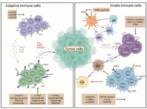 Chinese Medical Journal Pulmonary and Critical Care Medicine Review Highlights Tumor Microenvironment-Targeted Cancer Immunotherapy