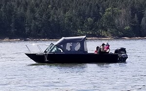 Four recreational anglers fined a total of $17,000 for rockfish violations and giving false information to a fishery officer
