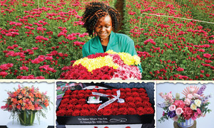 Black Tulip Flowers Leading the Way with Eco-Friendly Practices in the Floral Industry, Awards and Partnerships