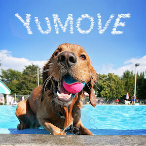 Summer's Here - YuMOVE Offers 5 Tips for Pets to Have an Amazing Summer