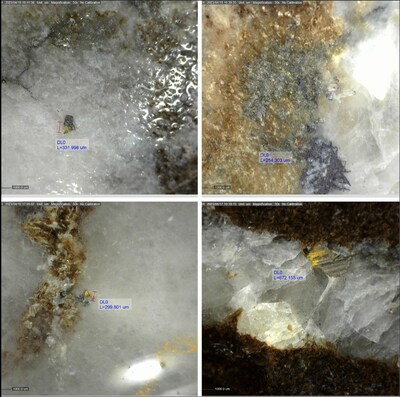 Figure 4: Examples of Visible Gold Observed in DDRCCC-23-043 (CNW Group/Sitka Gold Corp.)
