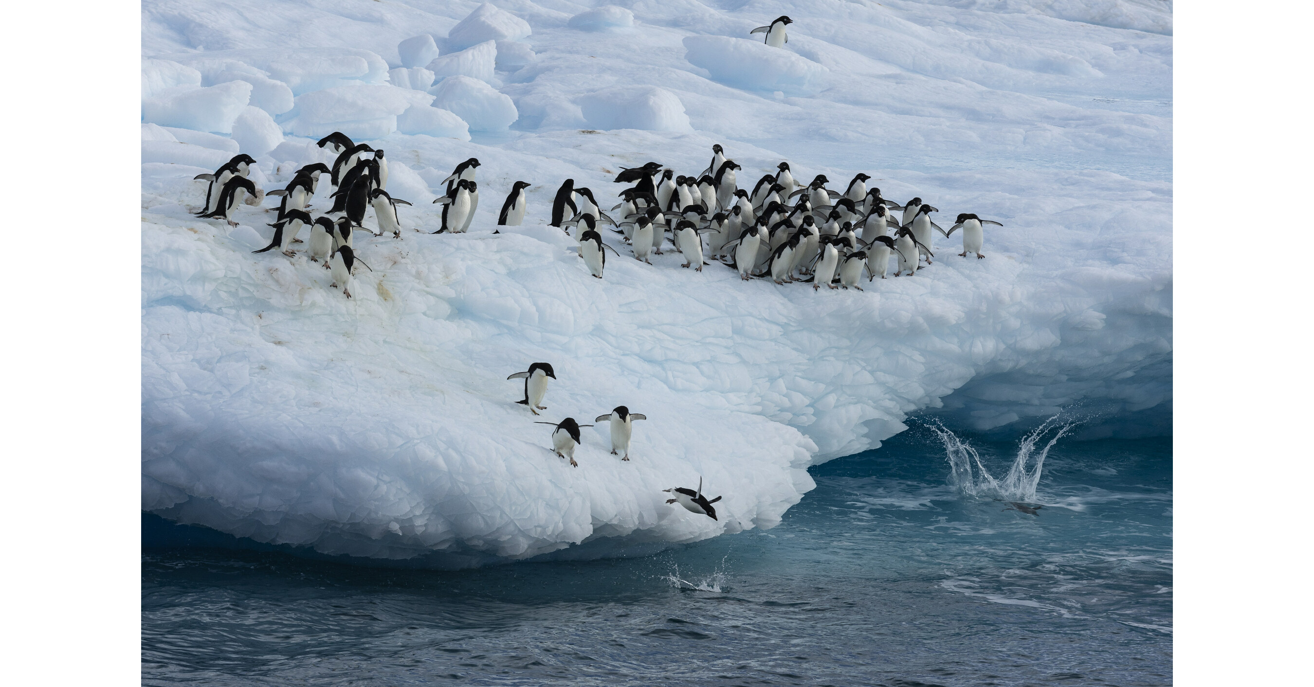 Reunión internacional sobre la protección del Océano Antártico finaliza sin mayores avances