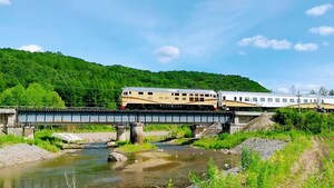 Forest train blazes new trail for tourism in northeast China