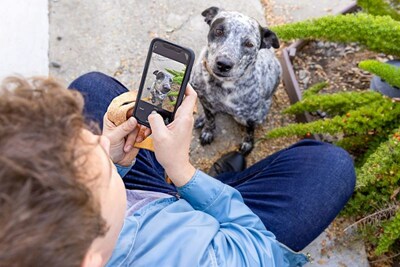 Petco Love Lost is now integrated with the Neighbors app, and the app's new feature uses patented image-recognition technology to locate a missing pet in a local shelter or in the care of a good Samaritan, helping pets make it safely home where they belong.