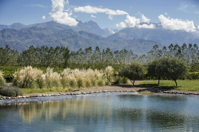 Terrazas de los Andes' Lican Vineyard, which is among the 86 hectares that have received Regenerative Organic Certified® status.