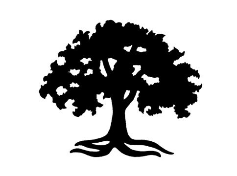 AVALON HOLDINGS CORPORATION ANNOUNCES 2025 FULL YEAR AND FOU