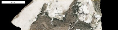 Figure 2: Photograph of core sample from diamond drill hole GH0005 showing quartz-calcite gangue (white and cream) and ductily-deformed metasediment composed primarily albite-muscovite assemblage (brown and black). Note common silver-grey lathes of arsenopyrite within metasediment. From an interval (108.1 - 108.6 m down-hole) that assayed 5.09 g/t Au. (CNW Group/Mantaro Precious Metals Corp.)