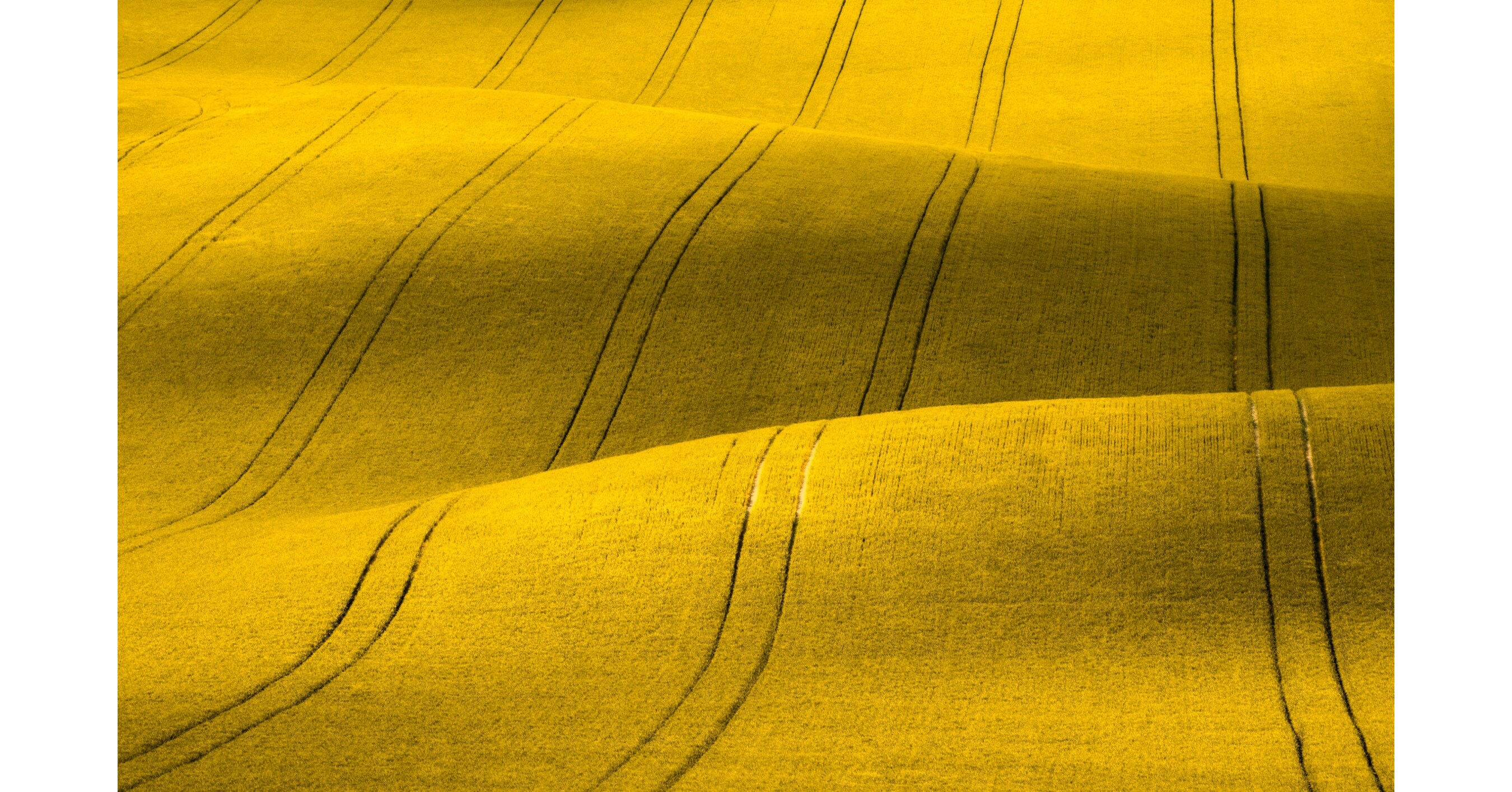 Norway Approves Aquaterra&reg; Omega-3 Oil for use in Aquafeed