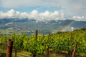 Bonterra Organic Estates Honors Former CEO and Visionary Winemaker Paul Dolan with the 'Paul Dolan Block' at Butler Ranch