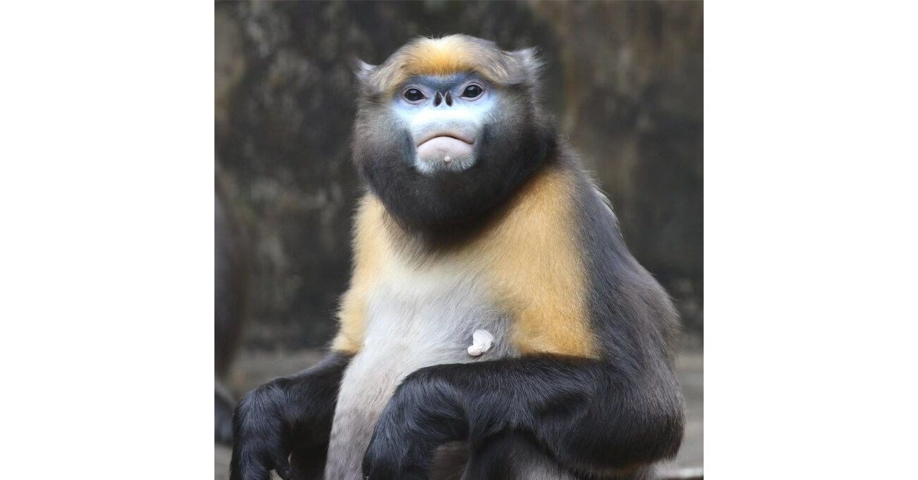 Guizhou: un lugar para abrazar monta&ntilde;as y criaturas