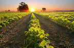 Increasing Nutrient Use Efficiency from FBSciences' Agronomy Team