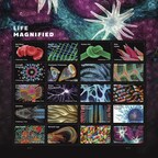Postal Service to Release Life Magnified Stamps