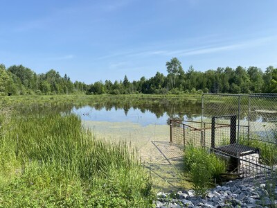 Nonquon Provincial Wildlife Area was one of the many projects that received maintenance and repairs to infrastructure to ensure wetlands like this remain intact and functioning at optimal levels for years to come thanks to WCPP investments. (CNW Group/DUCKS UNLIMITED CANADA)