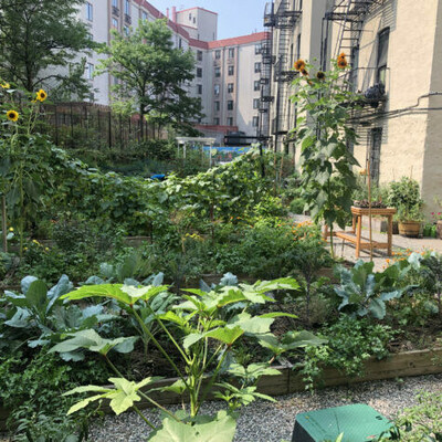 This year's grant recipients were selected for the meaningful role they play in making fresh, nutritious organic fruits and vegetables accessible in their communities. Featured garden: Kelly Street Garden- Bronx (NYC), New York. (CNW Group/Nature's Path Foods Inc.)