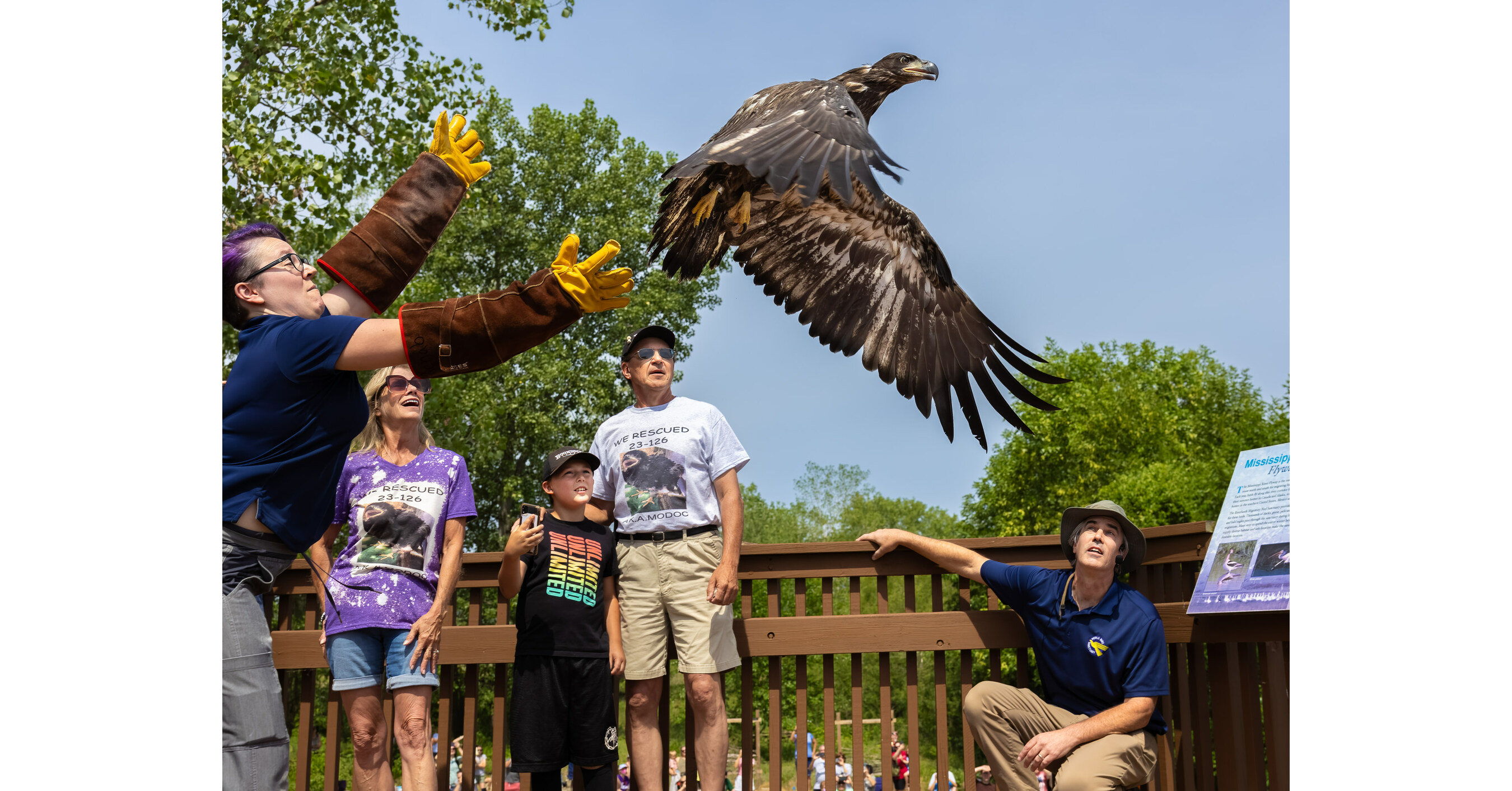 Murphy's Eaglet Release a Success - Vimarsana News