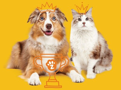 Zesty Paws has been officially recognized as the USA’s #1 Brand of Pet Supplements* according to Euromonitor