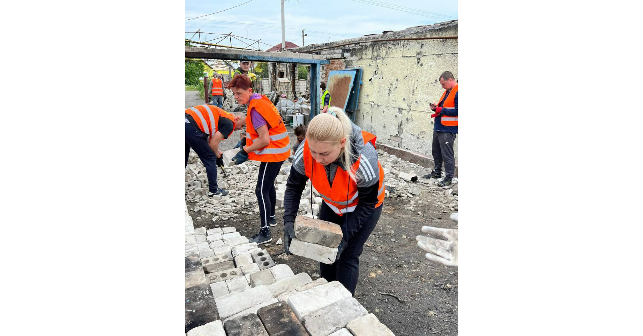 Analysis of 10 Fish Species Shows Extremely High Nutritional Levels Analysis of 10 Fish Species Shows Extremely High Nutritional Levels