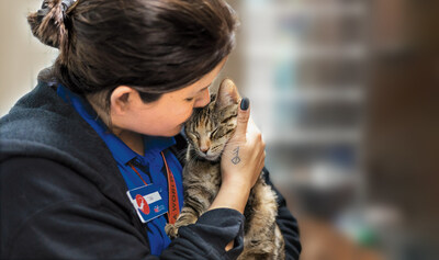 Taya, a PetSmart store associate, holds an adoptable kitten at an Adoption Centre. Pets will be available for adoption during PetSmart Charities of Canada National Adoption Week, July 10-16 at stores across the country. (CNW Group/PetSmart Charities of Canada)