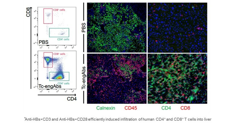 Best Presentation Award at EASL Congress 2023: First-in-class ...