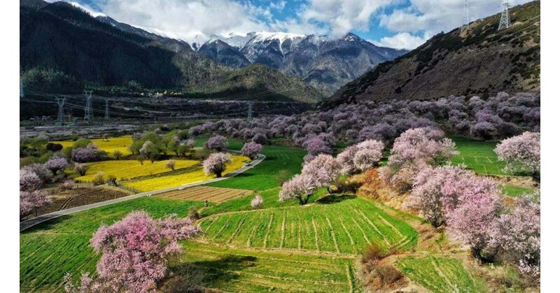 CMG: Glückliches Leben im Dorf Galai CMG: Glückliches Leben im Dorf Galai