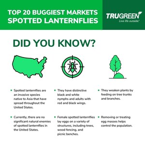 TruGreen Reveals Top Markets Affected by or Poised for Spotted Lanternfly Trouble