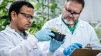 HARPE BIOHERBICIDE AWARDED NSF GRANT TO STUDY WEED RESISTANCE