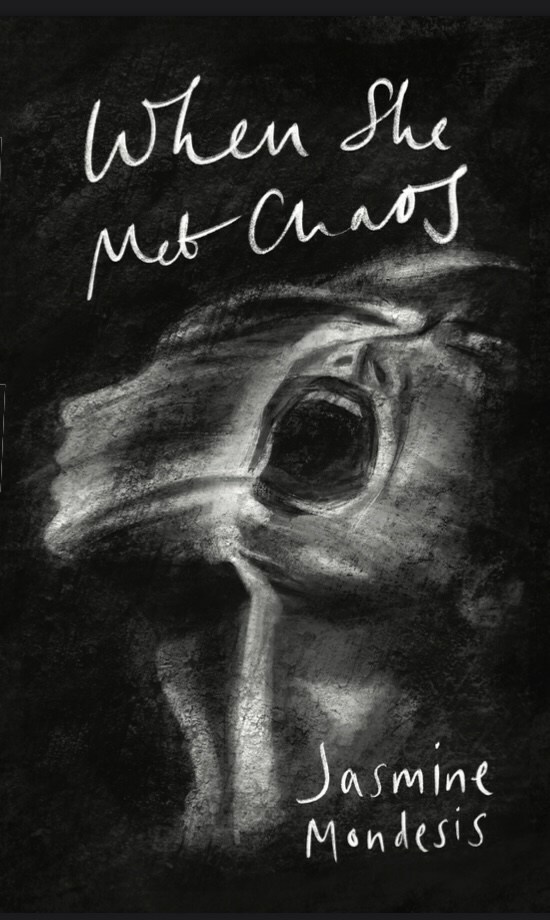 When She Met Chaos book cover