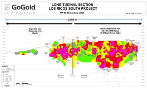 GoGold Provides Drilling Update at Main Area of Los Ricos South