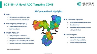 The properties and highlights of BC3195