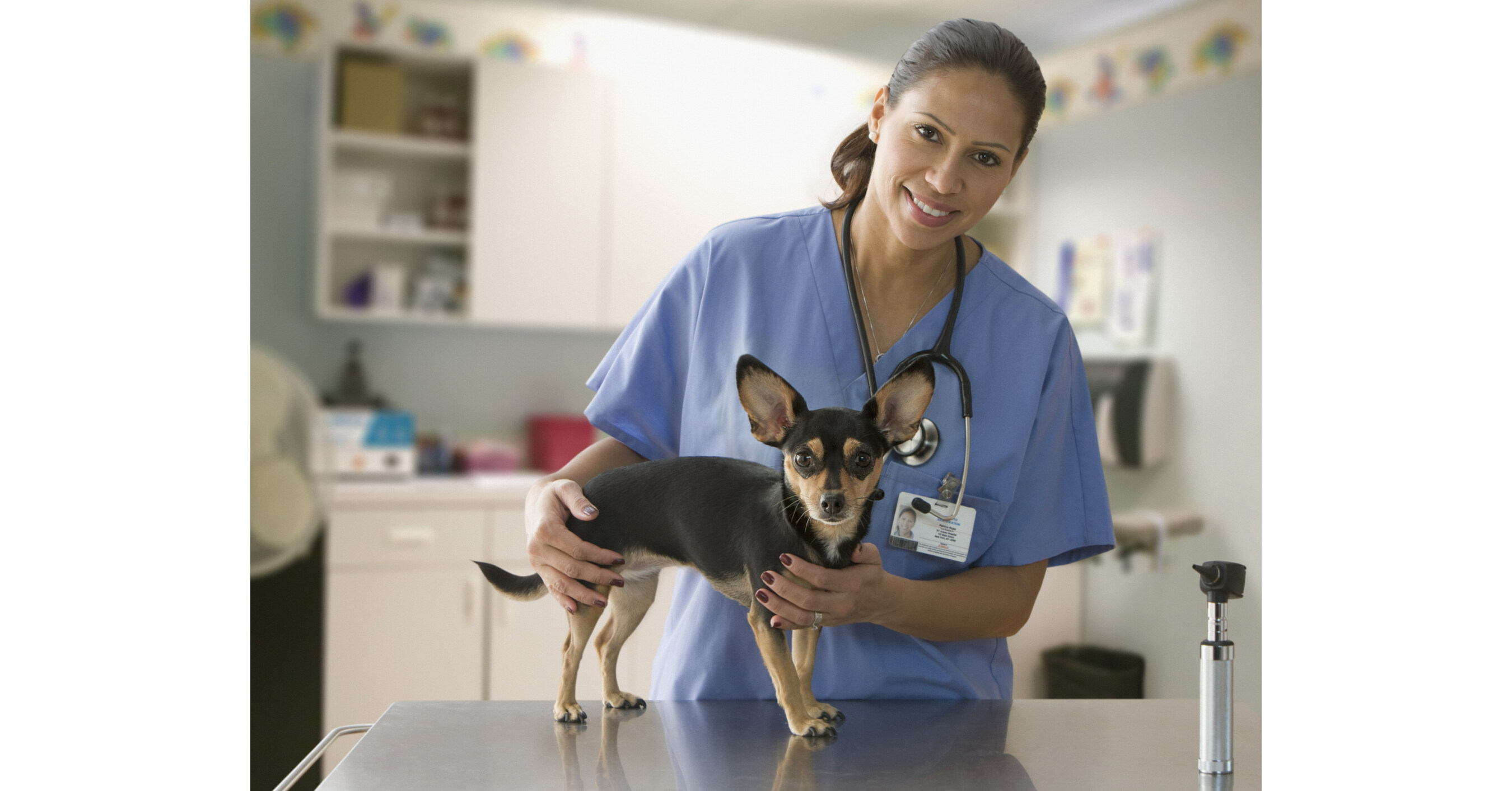 COVETRUS® EXPANDS GREATPETCARE™ FURTHER UNIFYING CONNECTED CARE ...
