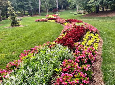 A wide variety of annuals and perennials.
