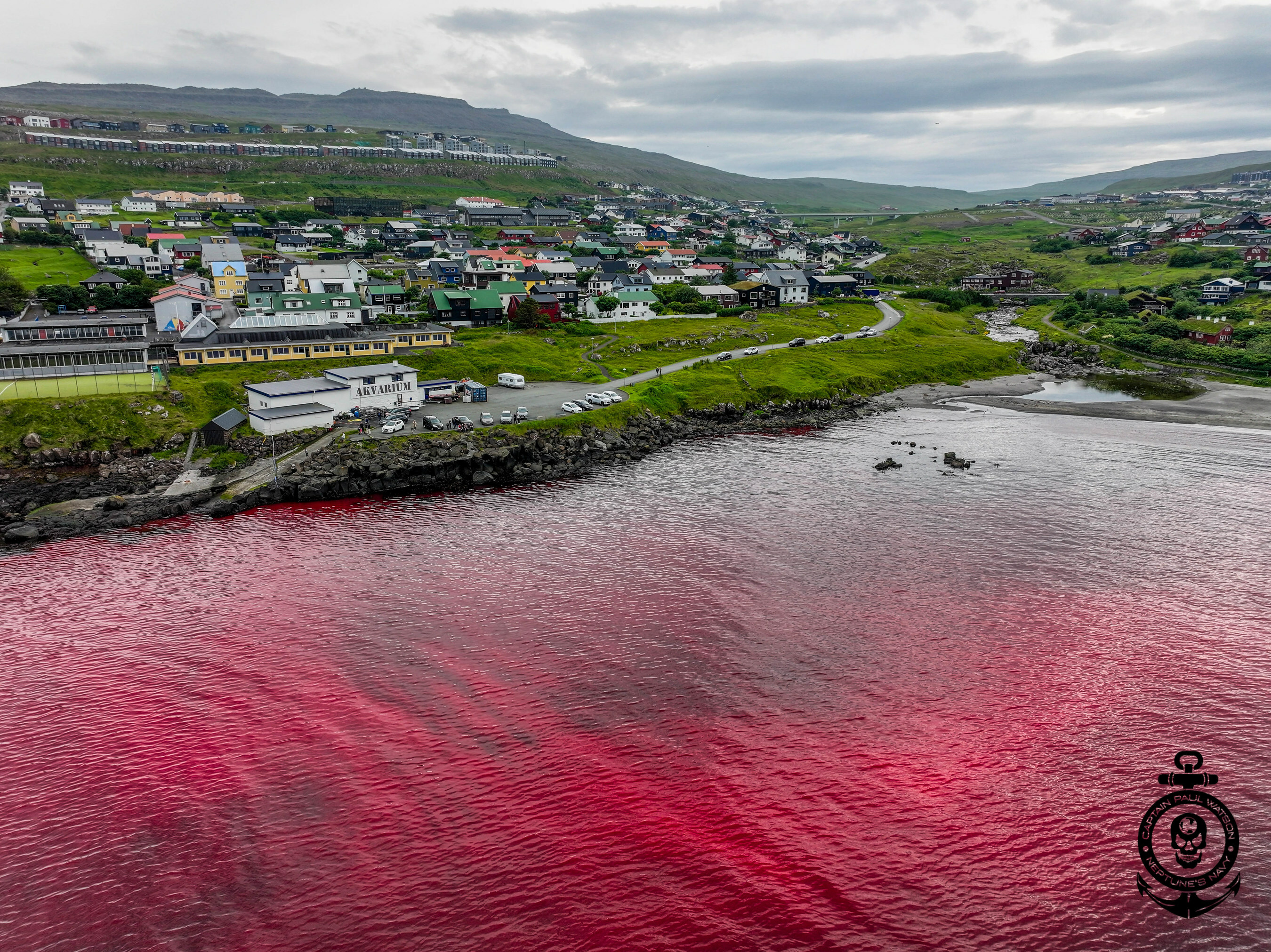 Unable to view the image, Please provide a valid URL.