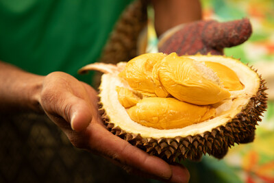 More than six types of top-quality durian hand-picked by Durian Master Chuah Teoh Yak. Guests can also purchase fresh durians to enjoy at home.