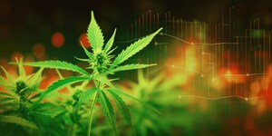 New research on the state of the cannabis industry in the US by Coinpaper