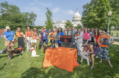 "Scandal" Actor Bellamy Young Joins Members of Congress and the ASPCA on Capitol Hill to Rally Support for Goldie's Act to Protect Dogs in Puppy Mills WeeklyReviewer