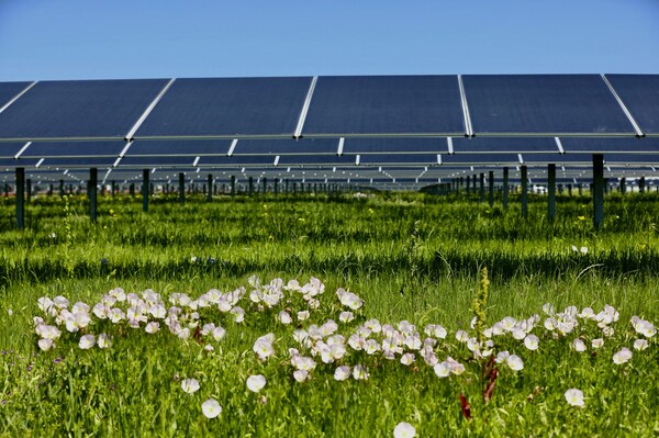 Wild Springs Solar Project is located in Pennington County, South Dakota