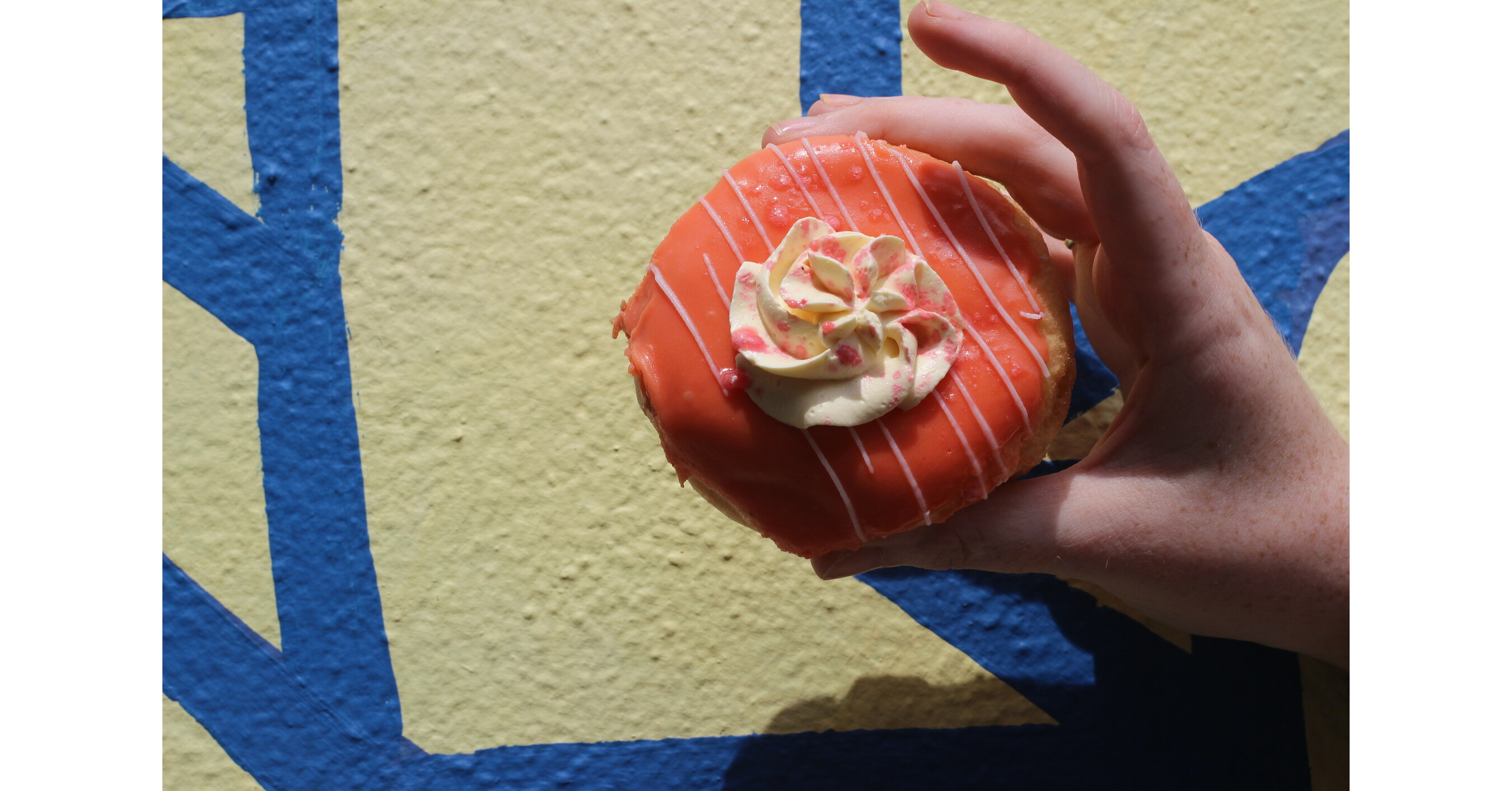 Underground Donut Tour Launches in Cork Underground Donut Tour Launches in Cork