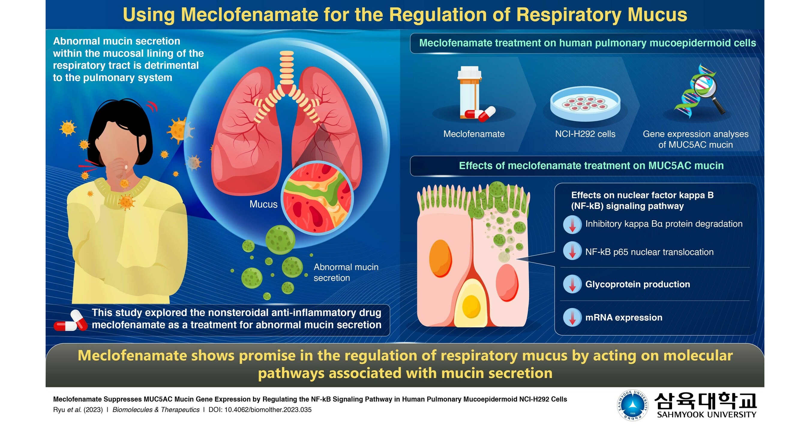 Sahmyook University Study Repurposes Meclofenamate to Treat Abnormal ...