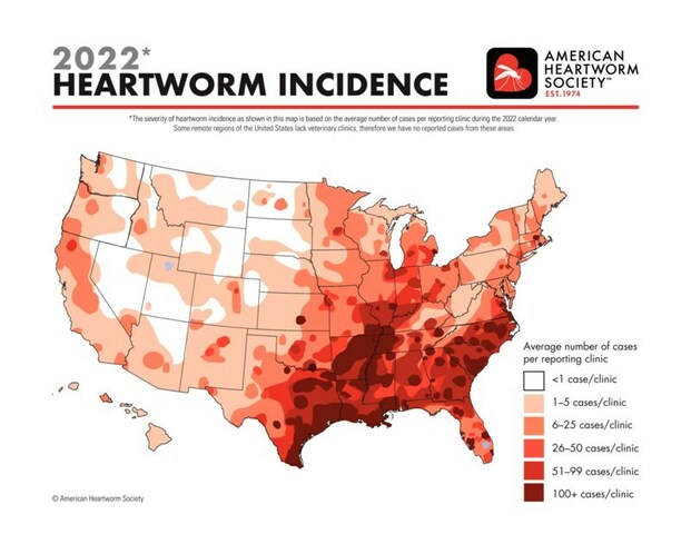 Heartworms are found throughout the U.S. This map, created by the American Heartworm Society, shows where this deadly parasite was diagnosed in veterinary hospitals during the 2022 calendar year.