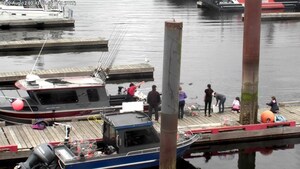 Prince Rupert charter boat owner fined $10,000 for feeding seals, a violation of Canada's Fisheries Act Marine Mammal Regulations