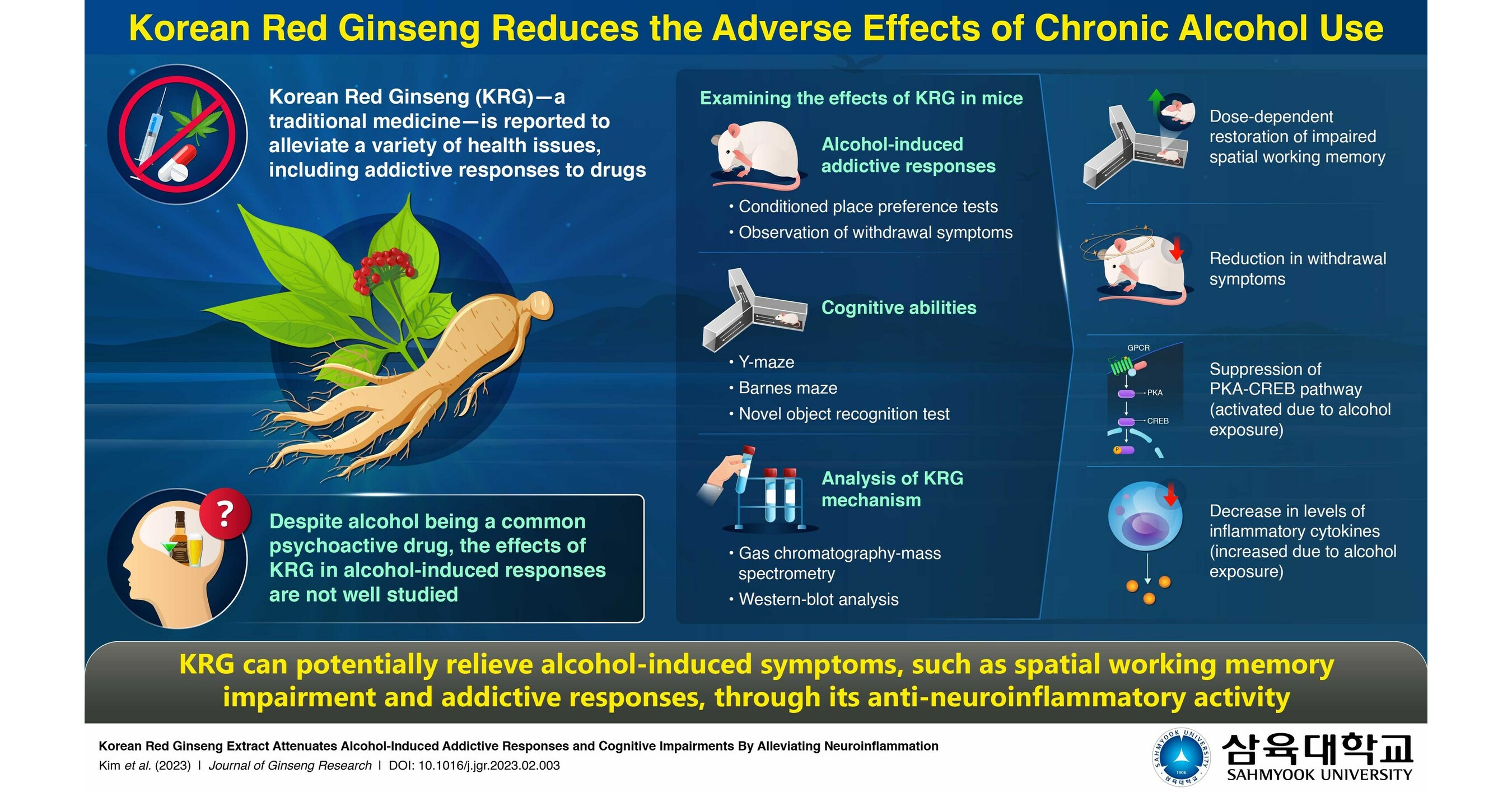 Korean Red Ginseng Can Alleviate Addictive Effects of Alcohol, Find