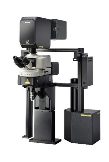 AX R MP with NSPARC super-resolution multiphoton confocal microscope system (configured with AX-FNSP microscope)