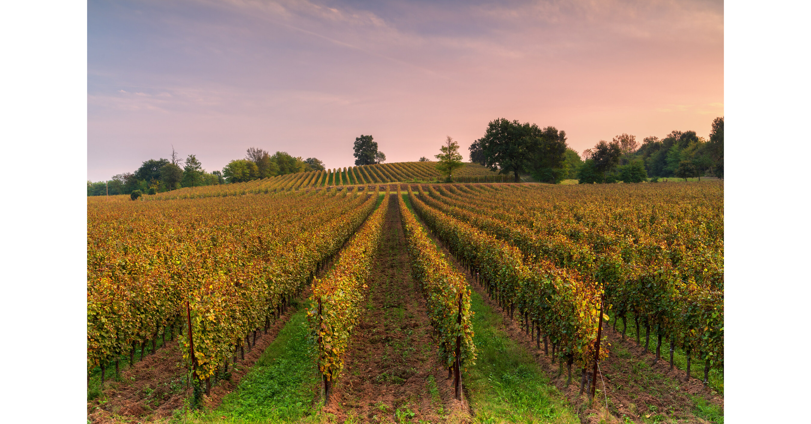 AUTUMN 2023 SHOWCASES OUTSTANDING LOCAL FOOD & WINE