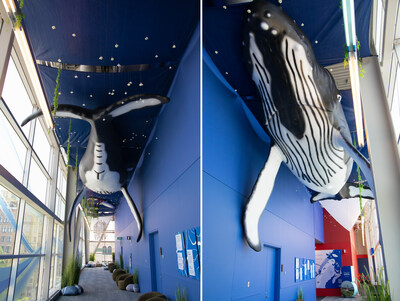 Un nouvel espace aux couleurs du fleuve Saint-Laurent, avec sa baleine grandeur nature, offre un espace informel de réseautage aux congressistes du Palais des congrès de Montréal. (Groupe CNW/Palais des congrès de Montréal)