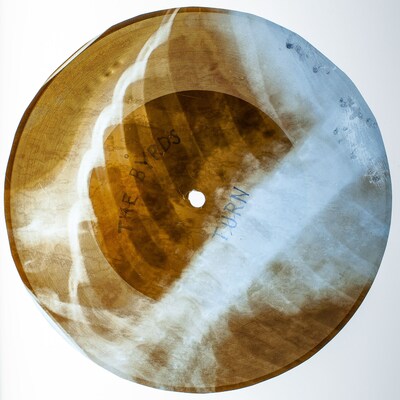 Original 1960s X-Ray Record of The Byrds "Turn Turn Turn" - Reimagined song will be featured on the Music on the Bones album.