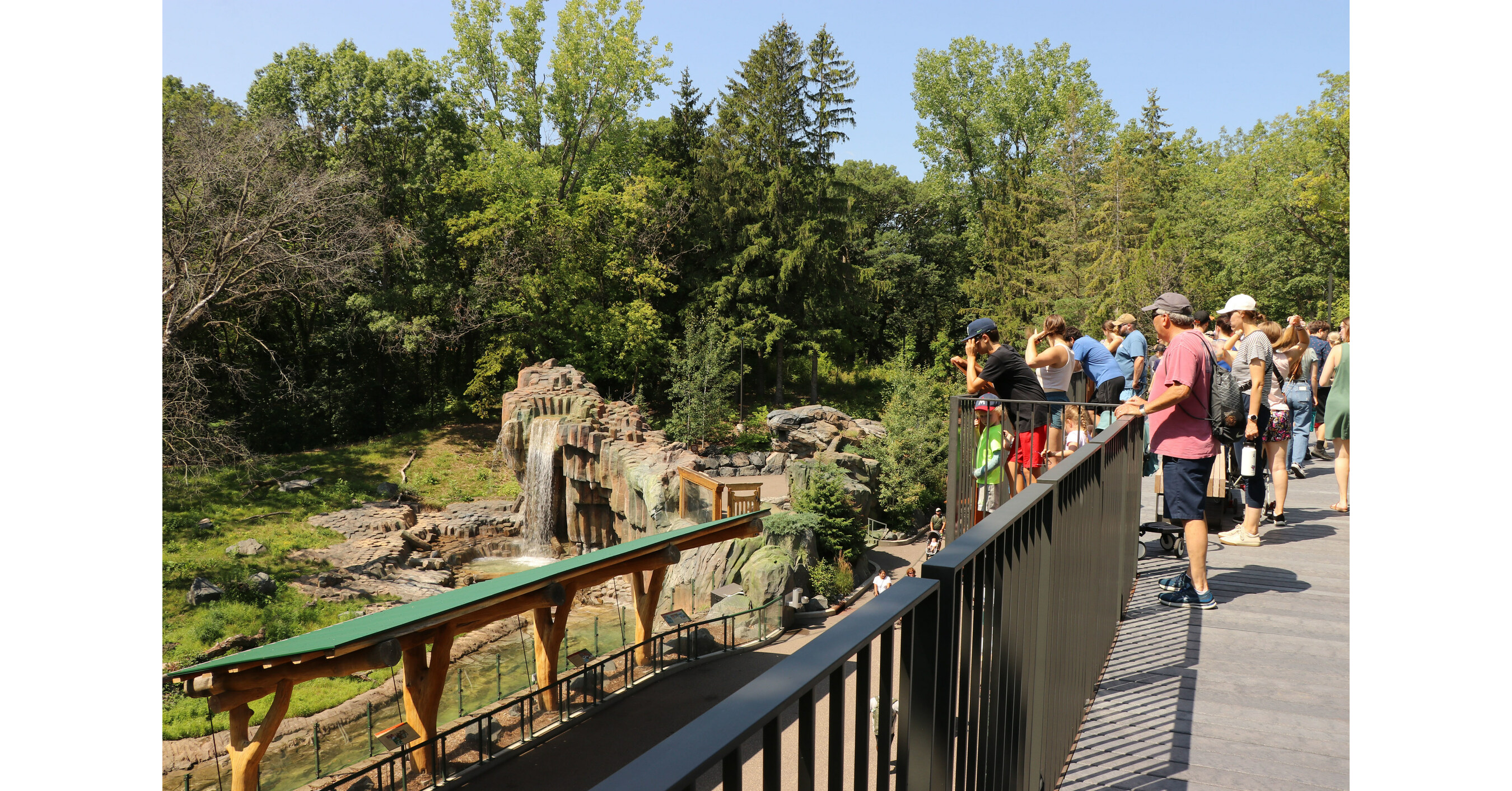 TREETOP TRAIL RAISES MINNESOTA ZOO TO A NEW LEVEL