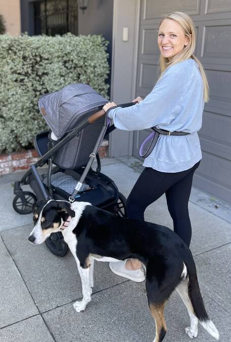 The Challenges of Dog Walking when Pregnant - Solved by Leashrr - Vimarsana News