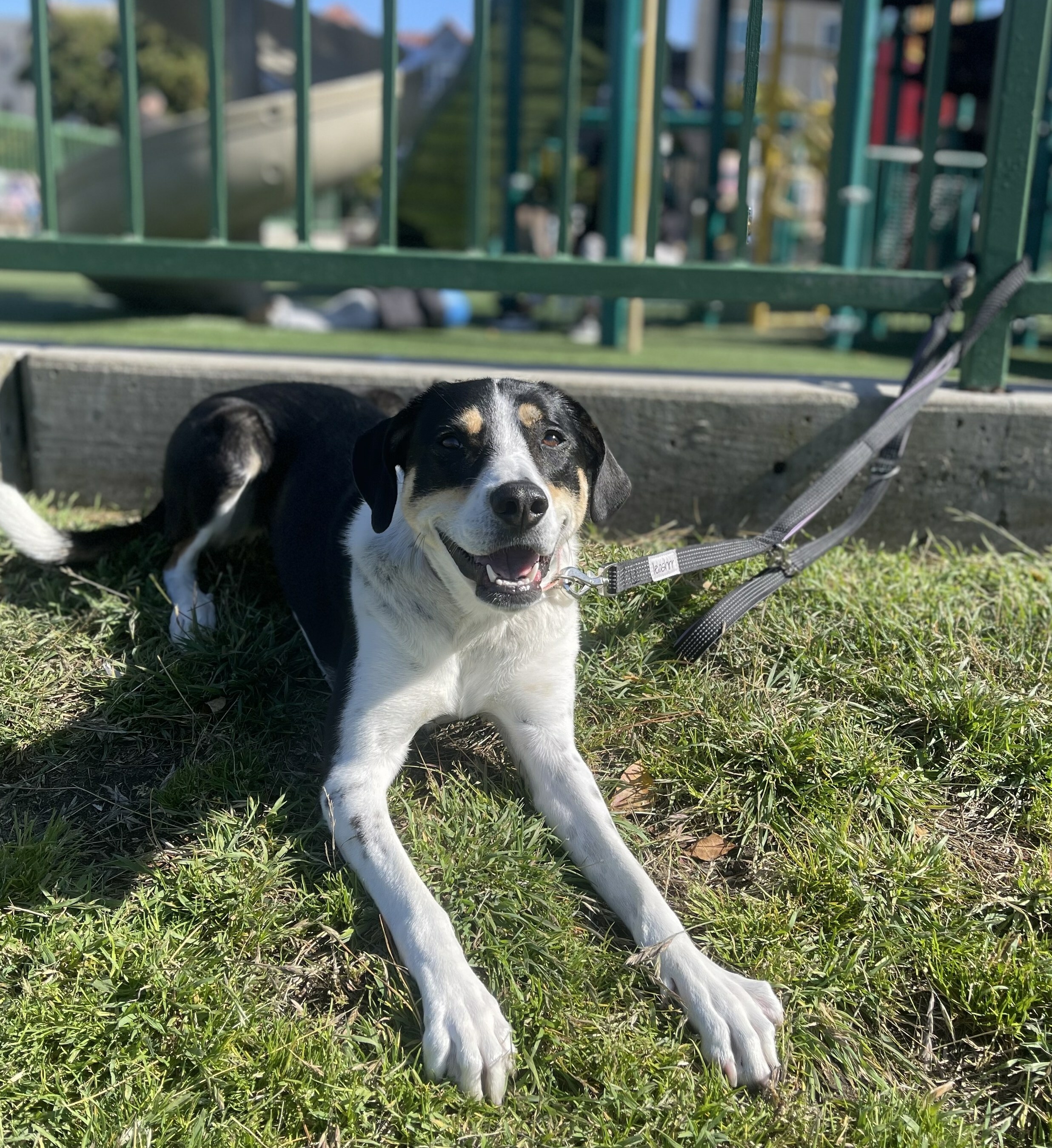 Unable to view the image, Please provide a valid URL.