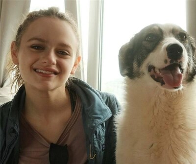 To help support the Clear The Shelters campaign, Hill's Pet Nutrition has enlisted actress Joey King, who is a passionate advocate and pet parent, to join them as a voice for the Clear the Shelter's campaign.